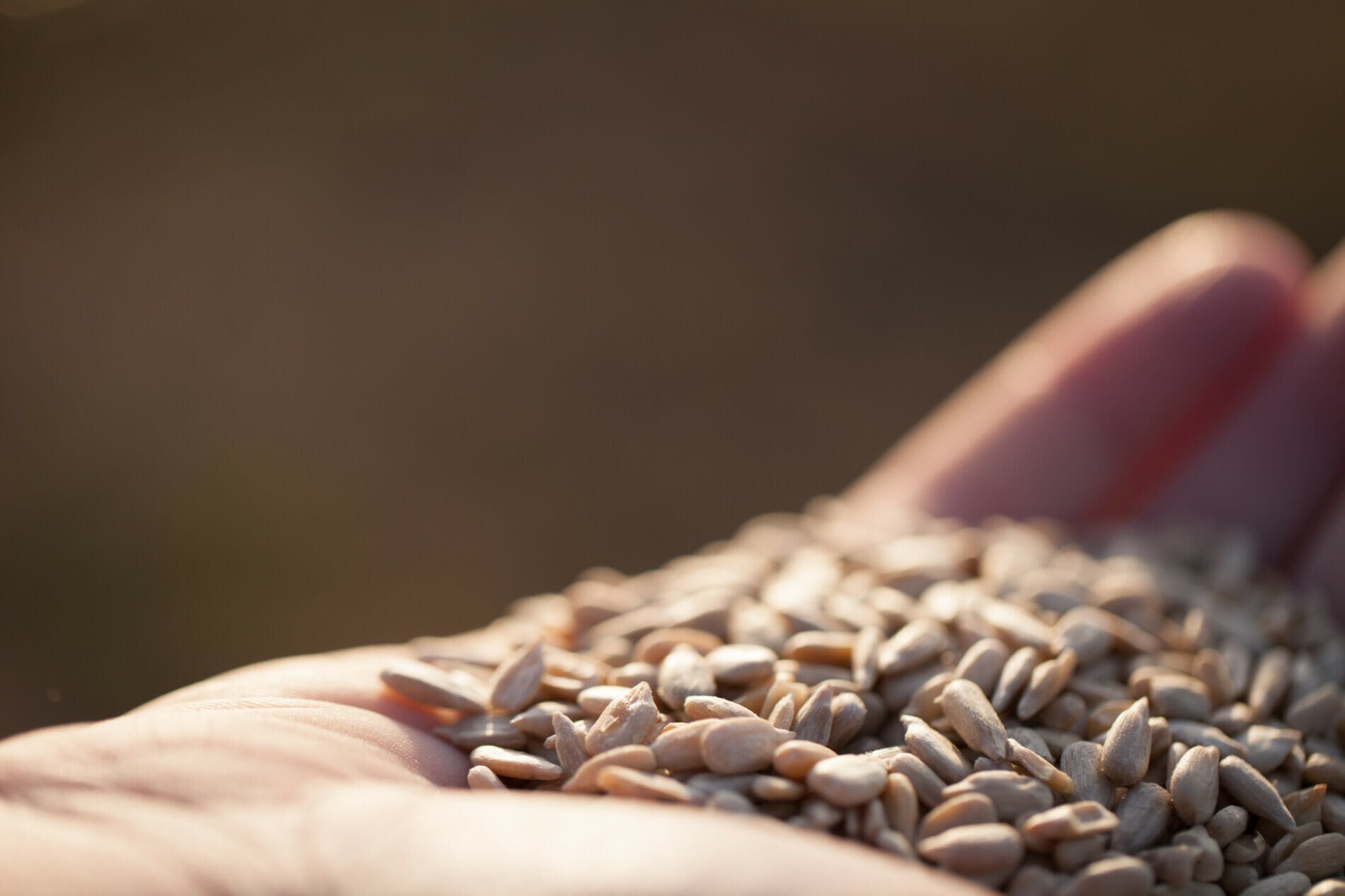 outstretched hand, giving seeds