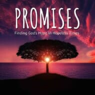 Promises Series